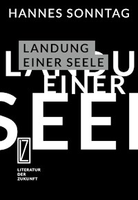 Landung einer Seele - Hannes Sonntag - E-Book