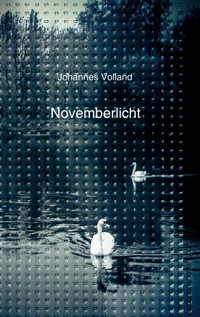 Novemberlicht - Johannes Volland - E-Book
