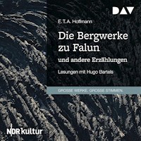Die Bergwerke zu Falun und andere Erzählungen - E.T.A. Hoffmann - Hörbuch
