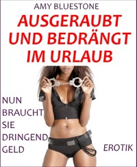 Ausgeraubt und bedrängt im Urlaub - Amy Bluestone - E-Book