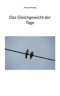 Das Gleichgewicht der Tage - Therese Prokop - E-Book