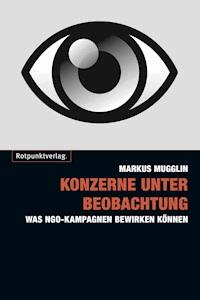 Konzerne unter Beobachtung - Markus Mugglin - E-Book