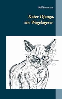 Kater Django, ein Wegelagerer - - E-Book