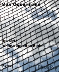 Im Netz ohne doppelten Boden - Max Oppermann - E-Book