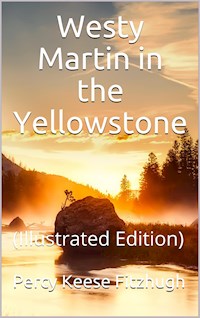 Westy Martin in the Yellowstone - Percy Keese Fitzhugh - E-Book