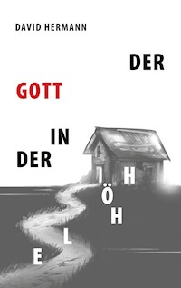 Der Gott in der Höhle - David Hermann - E-Book