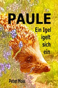 P A U L E - Peter Mois - E-Book