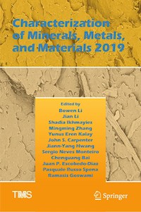 Characterization of Minerals, Metals, and Materials 2019 - - E-Book