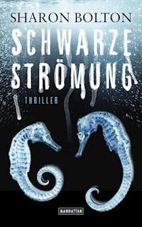 Schwarze Strömung - Lacey Flint 4 - Sharon Bolton - E-Book