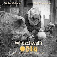 Wildschwein Odin - Tobias Wallrapp - Hörbuch