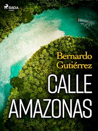Calle Amazonas - Bernardo Gutiérrez González - E-Book