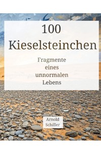 100 Kieselsteinchen - Arnold Schiller - E-Book