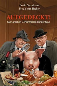 Aufgedeckt! - Erwin Steinhauer - E-Book