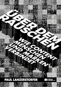 Über dem Rauschen - Paul Lanzerstorfer - E-Book