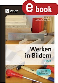 Werken in Bildern - Christa Troll - E-Book