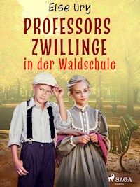 Professors Zwillinge in der Waldschule - Else Ury - E-Book
