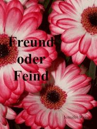 Freund oder Feind - Jennifer Weise - E-Book
