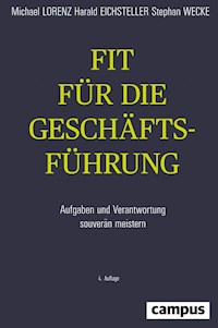 Fit für die Geschäftsführung - Michael Lorenz - E-Book