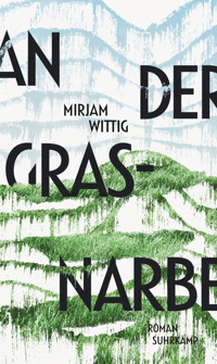 An der Grasnarbe - Mirjam Wittig - E-Book