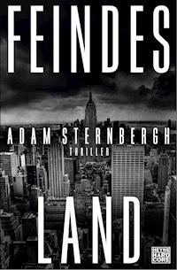 Feindesland - Adam Sternbergh - E-Book