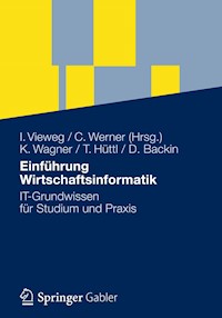 Einführung Wirtschaftsinformatik - Klaus-P. Wagner - E-Book