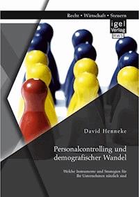 Personalcontrolling und demografischer Wandel: Welche Instrumente und Strategien für Ihr Unternehmen nützlich sind - David Henneke - E-Book