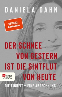 Der Schnee von gestern ist die Sintflut von heute - Daniela Dahn - E-Book