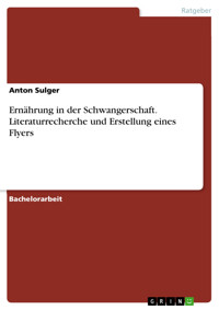 Ernährung in der Schwangerschaft. Literaturrecherche und Erstellung eines Flyers - Anton Sulger - E-Book