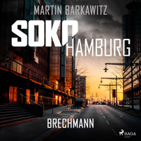 SoKo Hamburg: Brechmann (Ein Fall für Heike Stein, Band 17) - Martin Barkawitz - Hörbuch
