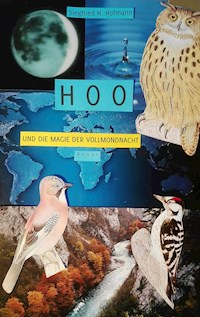 HOO - Siegfried, Hans Hofmann - E-Book