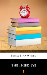 The Third Eye - Ethel Lina White - E-Book