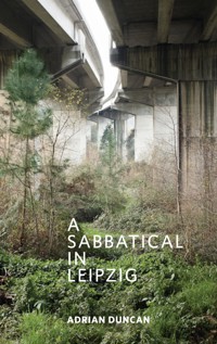 A Sabbatical In Leipzig - Adrian Duncan - E-Book