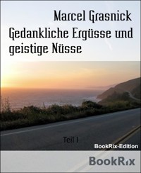 Gedankliche Ergüsse und geistige Nüsse - Marcel Grasnick - E-Book