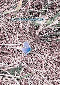 La Création applaudit - Nicole Durand - E-Book