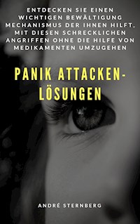 Panik Attacken - Lösungen - Andre Sternberg - E-Book