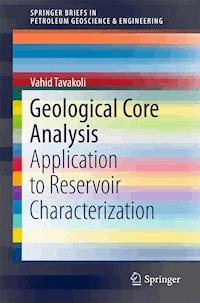 Geological Core Analysis - Vahid Tavakoli - E-Book