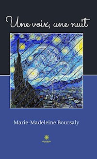 Une voix, une nuit - Marie-Madeleine Boursaly - E-Book