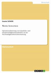Werte bewerten - Laura Schütt - E-Book