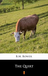 The Quirt - B.m. Bower - E-Book