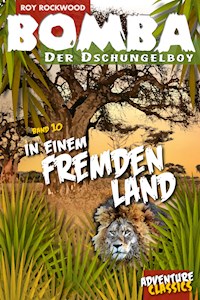 Bomba in einem fremden Land - Roy Rockwood - E-Book