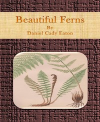 Beautiful Ferns - Daniel Cady Eaton - E-Book