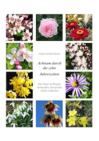 Achtsam durch die zehn Jahreszeiten - Andrea Schulte-Braatz - E-Book