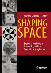 Shaping Space -  - E-Book