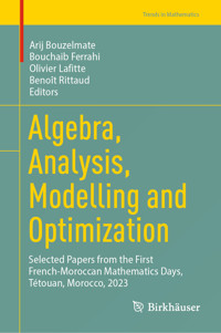 Algebra, Analysis, Modelling and Optimization -  - E-Book