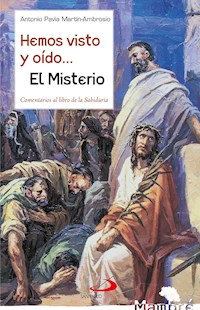 Hemos visto y oído... El Misterio - Antonio Pavía Martín-Ambrosio - E-Book