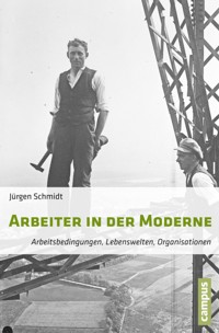 Arbeiter in der Moderne - Jürgen Schmidt - E-Book