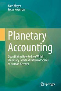 Planetary Accounting - Kate Meyer - E-Book