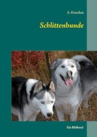 Schlittenhunde - Ketschau A. - E-Book