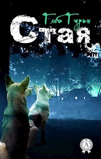 Стая - Глеб Гурин - E-Book