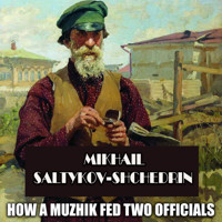 How a Muzhik Fed Two Officials - Mikhail Saltykov-Shchedrin - Hörbuch